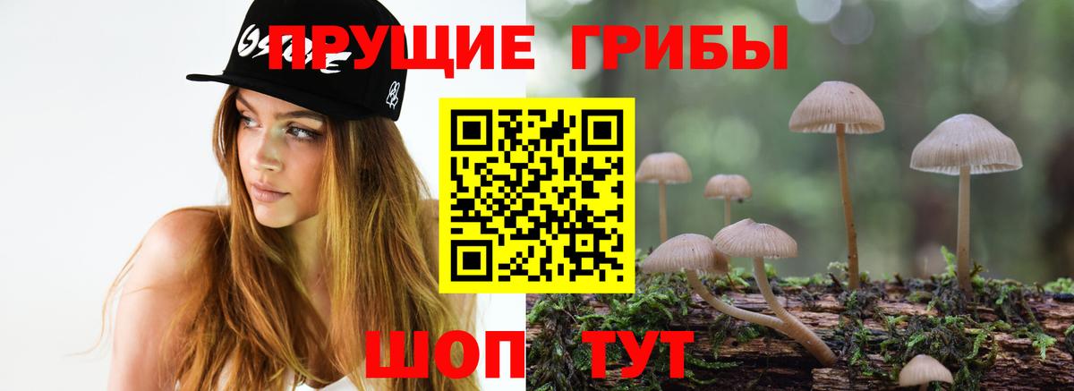 Вятские Поляны  Галлюциногенные грибы мухоморы  Вход с VPN 